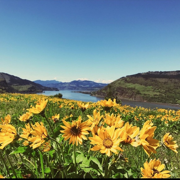 Meet your Posher, Tori - Picture 5 of 8